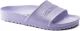 Birkenstock Barbados Eva 1017055 Purple Fog Normaal