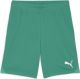 PUMA teamGOAL Maat L Shorts Heren sportbroek - Sport Green-PUMA White