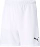 Puma teamRISE Short Junior - Maat 116