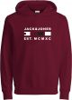 JACK&JONES JUNIOR JCOFREDDIE SWEAT HOOD FST JNR Jongens Trui - Maat 164