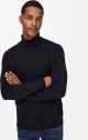  Heren coltrui zwart Maat L ONLY & SONS ONSWYLER LIFE REG ROLL NECK KNIT NOOS