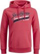 JACK&JONES ESSENTIALS JJELOGO SWEAT HOOD 2 COL 21/22 NOOS Heren Trui - Maat L