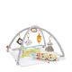 Fisher-Price Deluxe Gym - Babygym