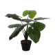 Mica Decorations kunstplant Taro (h60 cm)