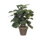 Mica kunstplant Pilea (h35 cm)