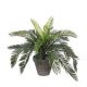 Mica kunstplant Cycas (h37 cm)