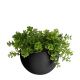 pt, wand plantenpot Globe