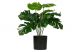 Woood Monstera Kunstplant Groen 40 cm