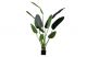 Kunstplant WOOOD Strelitzia - Groen - 164x96x63 cm