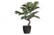 Kunstplant WOOOD Zamia - Groen - 76x68x61